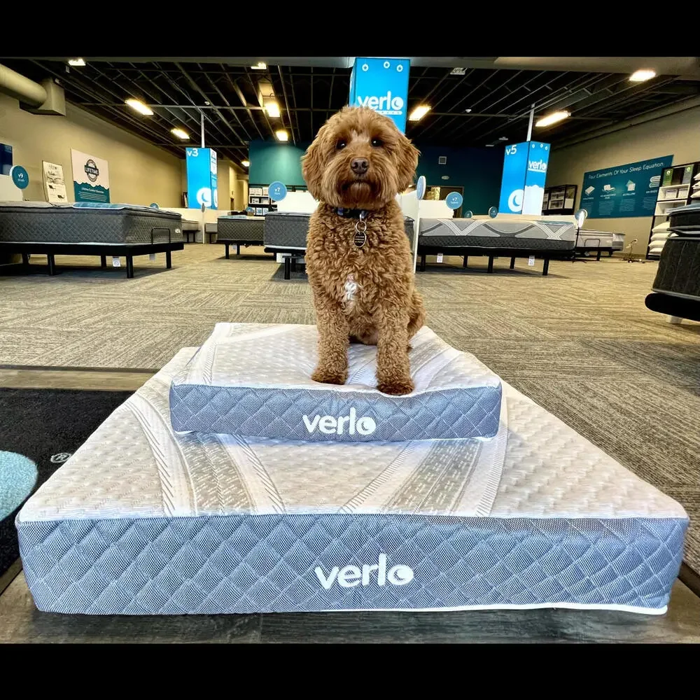 Verlo Mattress for Pets Size Small V5 Pet Dog/Cat Bed